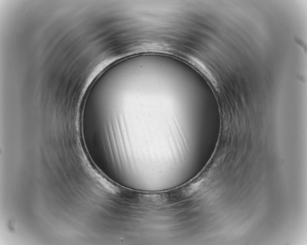 X0000095531339200712281514