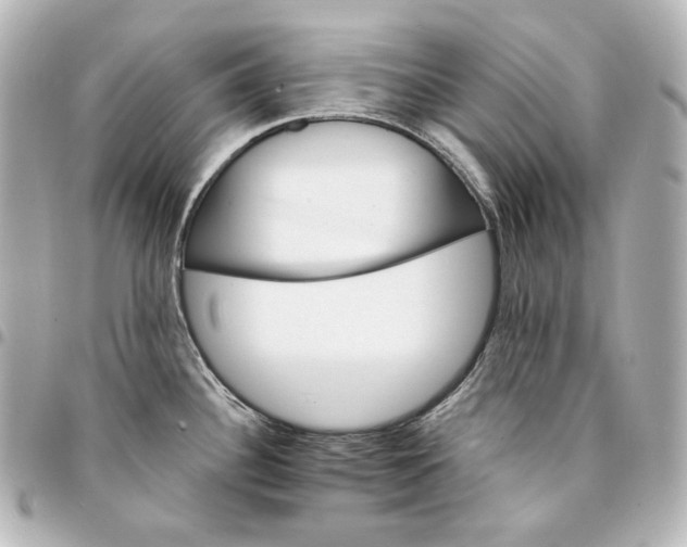 X0000095531340200712281514