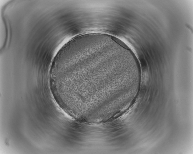 X0000095531341200712281514