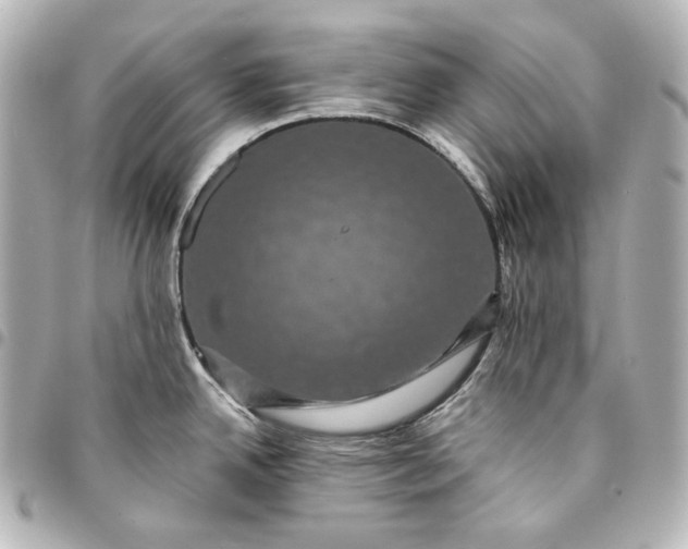 X0000095531342200712281514