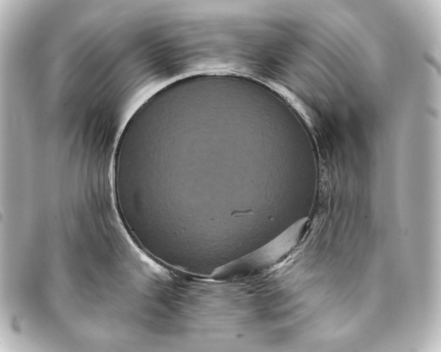 X0000095531343200712281514