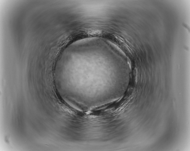 X0000095531345200712281513