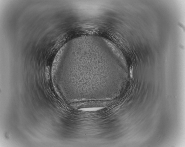 X0000095531347200712281513