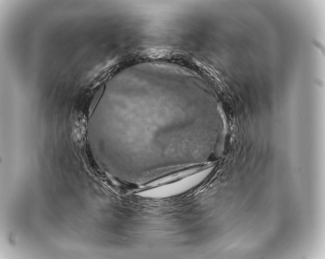 X0000095531349200712281513