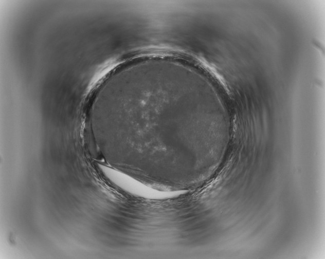 X0000095531352200712281513