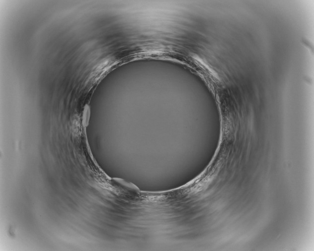 X0000095531353200712281513