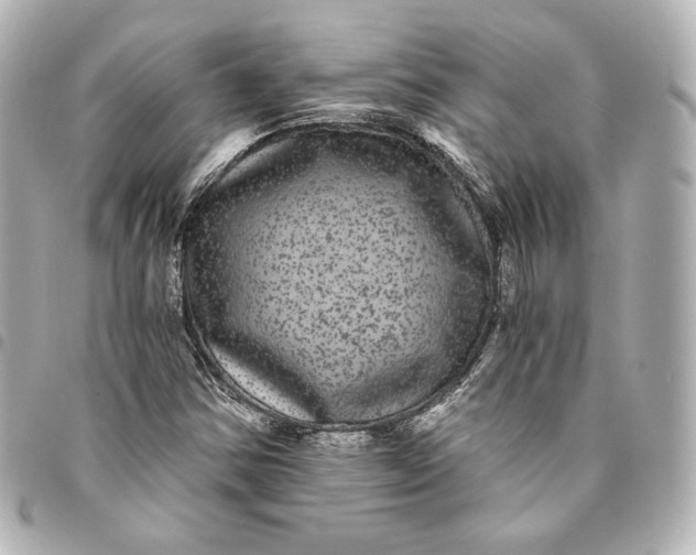 X0000095531354200712281513