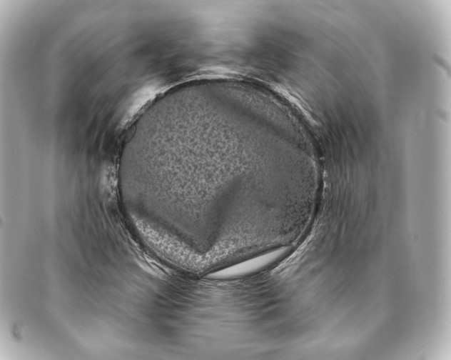 X0000095531355200712281513