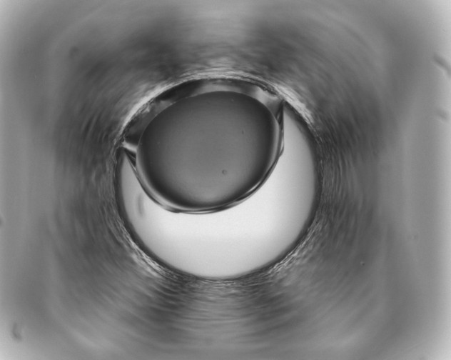 X0000095531356200712281513