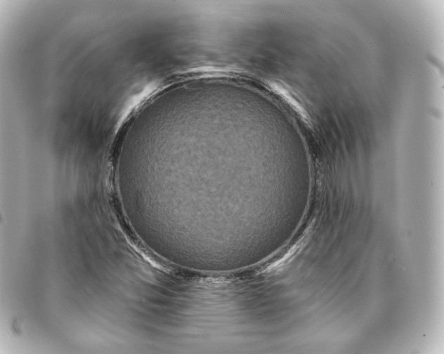 X0000095531357200712281513