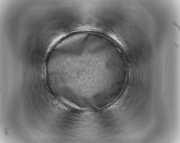 X0000095531358200712281513