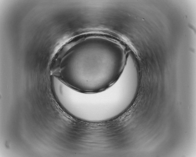 X0000095531360200712281513