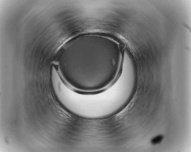 X0000095531361200712281513