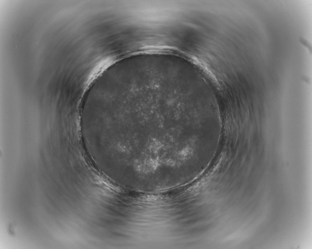 X0000095531362200712281513