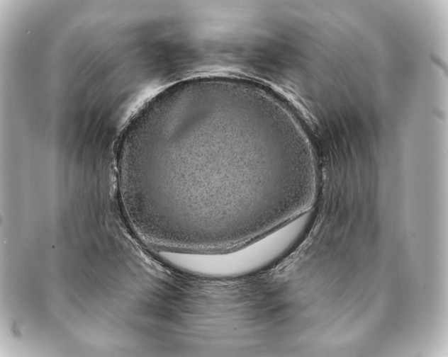 X0000095531363200712281513