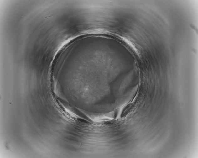 X0000095531364200712281513