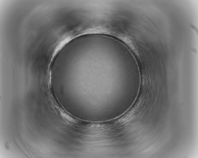 X0000095531366200712281513