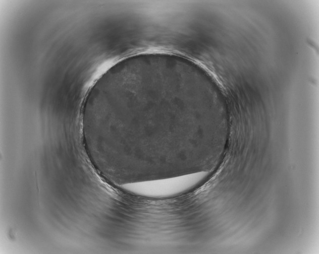 X0000095531367200712281513