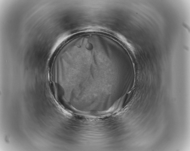 X0000095531368200712281513