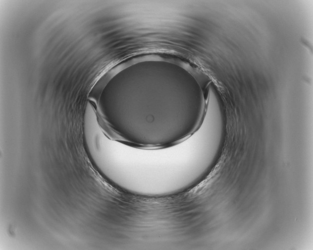 X0000095531369200712281513