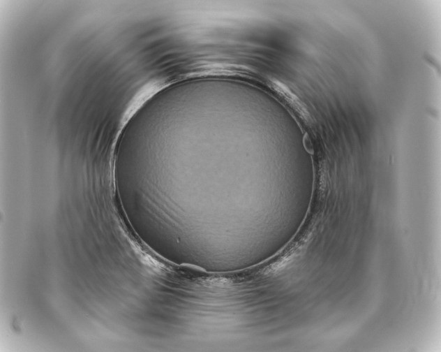 X0000095531370200712281513