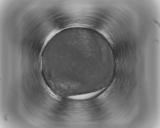 X0000095531371200712281513