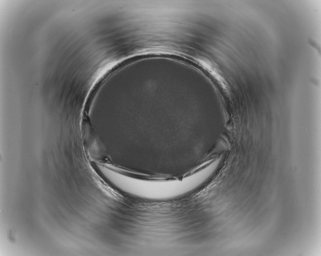X0000095531372200712281513