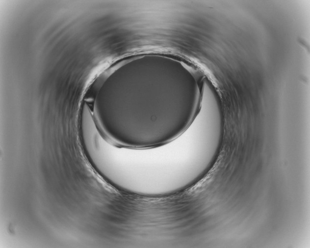 X0000095531373200712281513