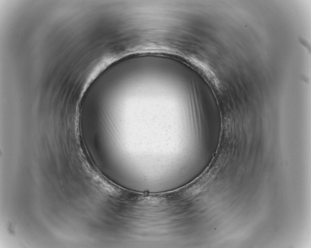 X0000095531374200712281513