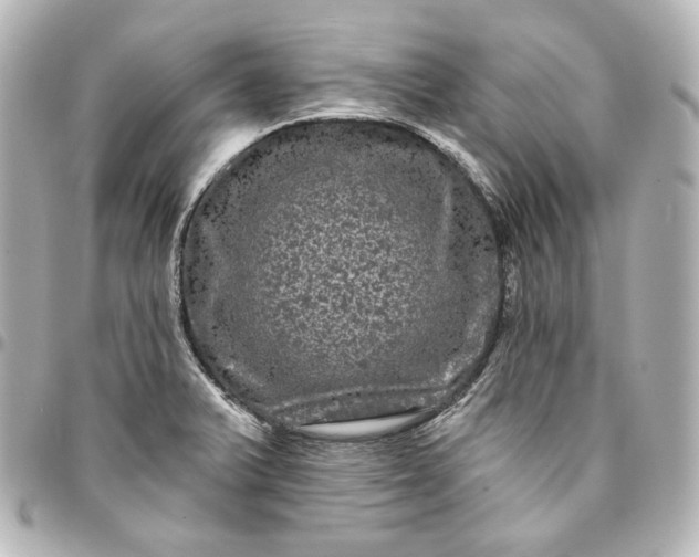 X0000095531375200712281513