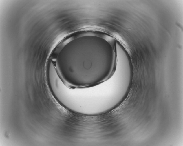 X0000095531376200712281513