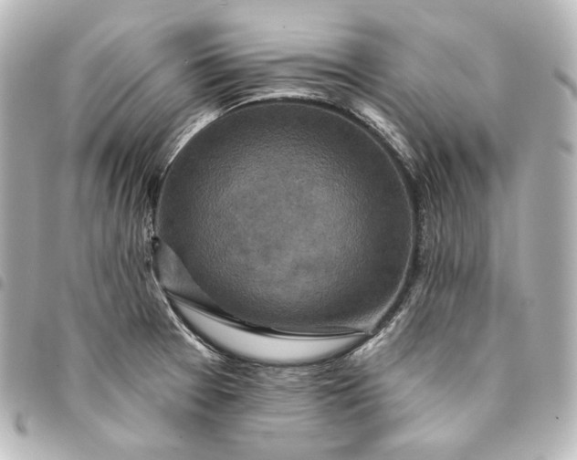 X0000095531377200712281513