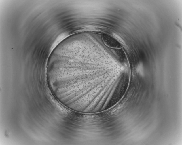 X0000095531378200712281513