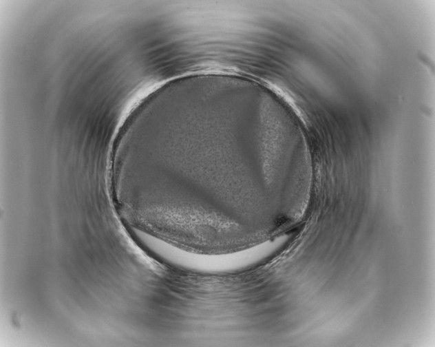 X0000095531379200712281513