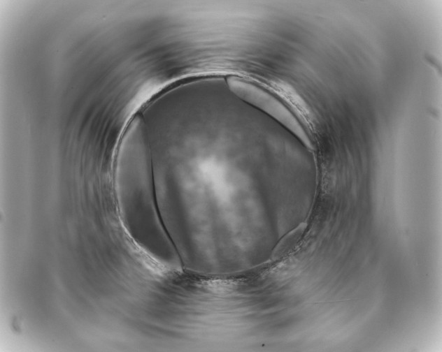 X0000095531380200712281513