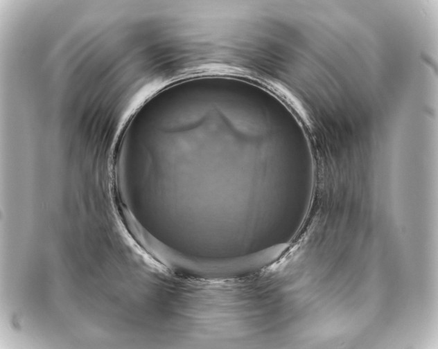 X0000095531381200712281513