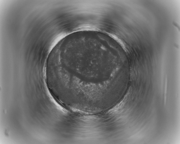 X0000095531383200712281513