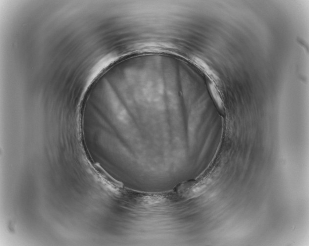 X0000095531384200712281513