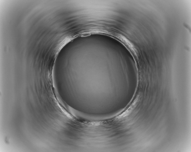 X0000095531385200712281513