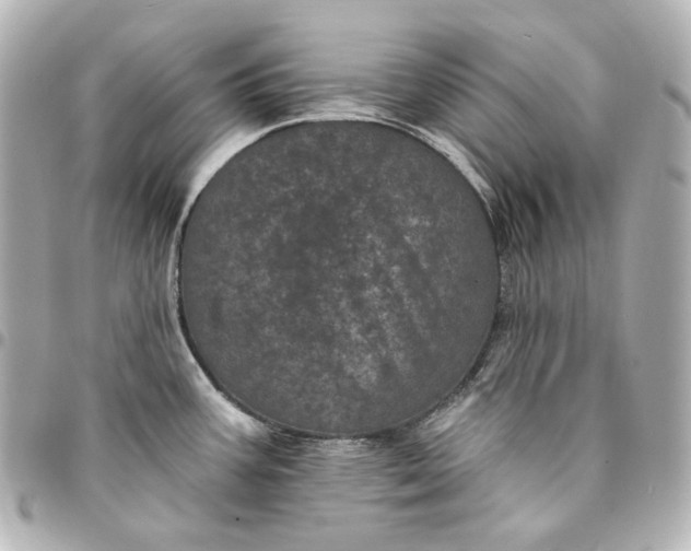 X0000095531387200712281513