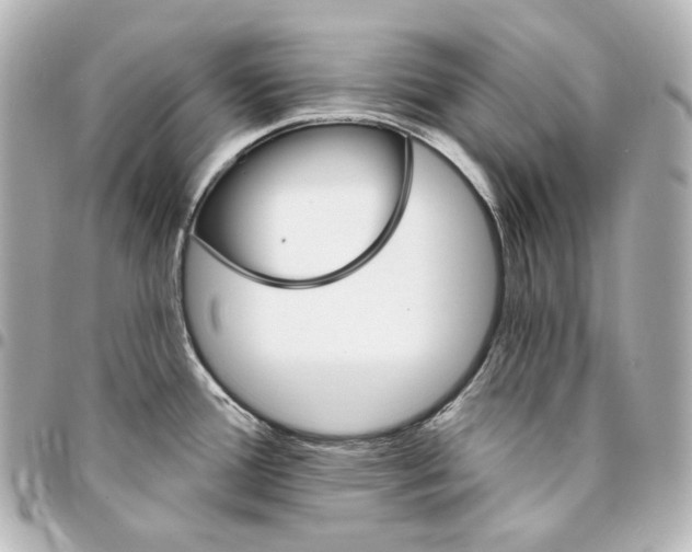 X0000095531388200712281513
