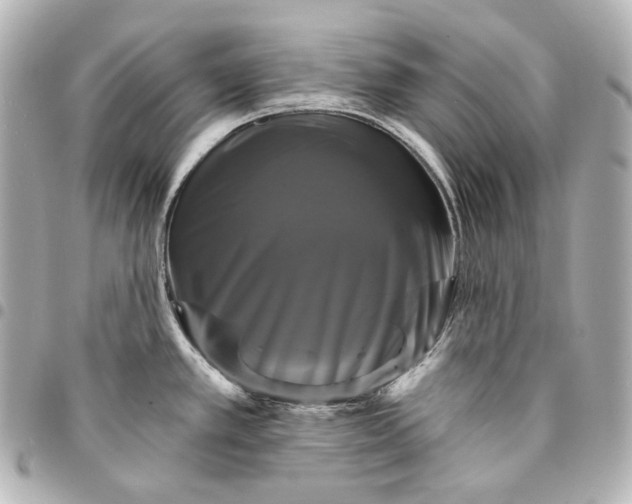 X0000095531389200712281513