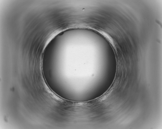 X0000095531390200712281513