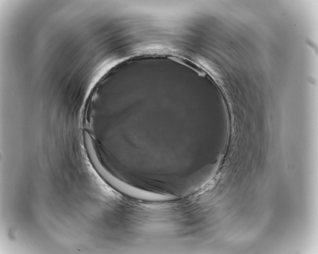 X0000095531392200712281513