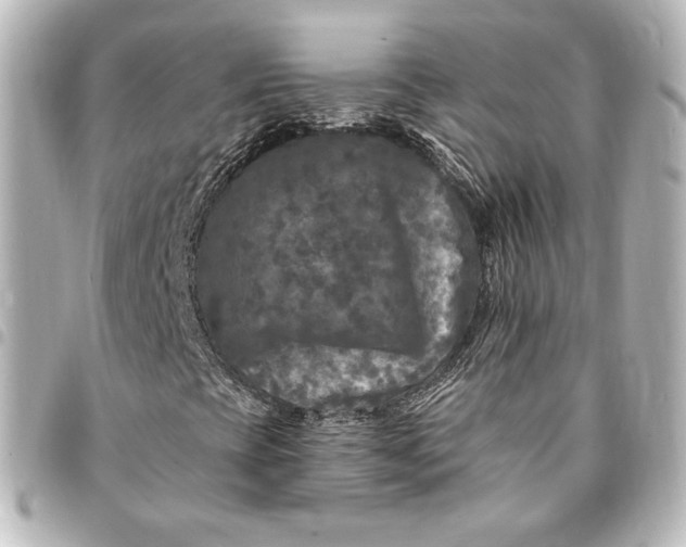 X0000095531393200712281512