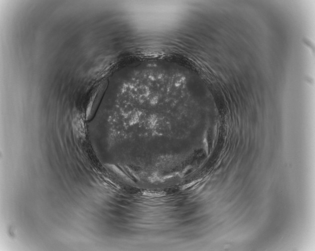 X0000095531394200712281512