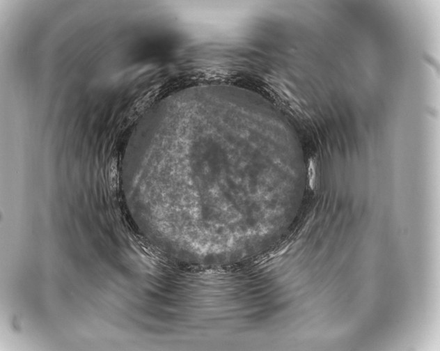 X0000095531395200712281512