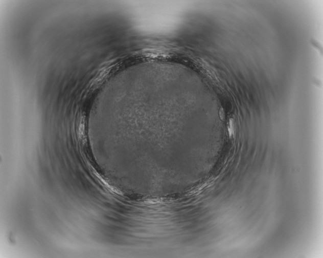X0000095531396200712281512