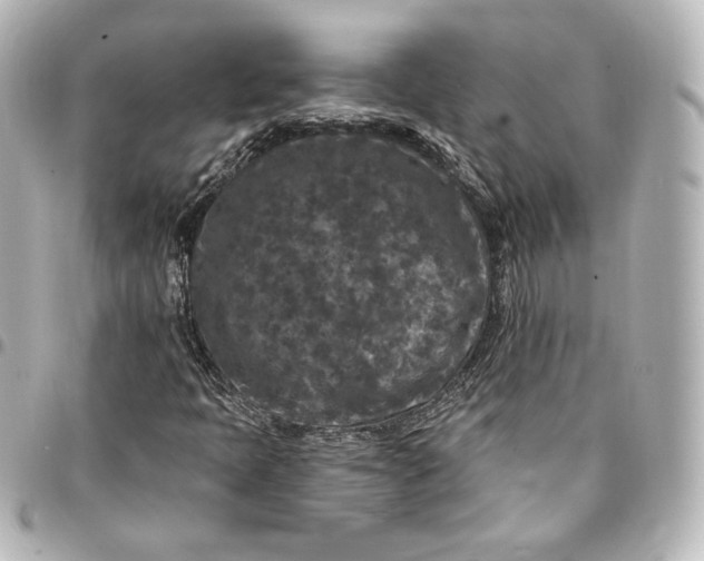 X0000095531397200712281512