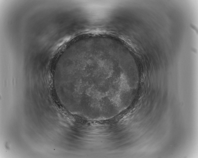 X0000095531398200712281512